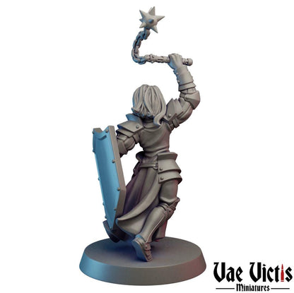 Paladin Miniature - by Vae Victis Miniatures