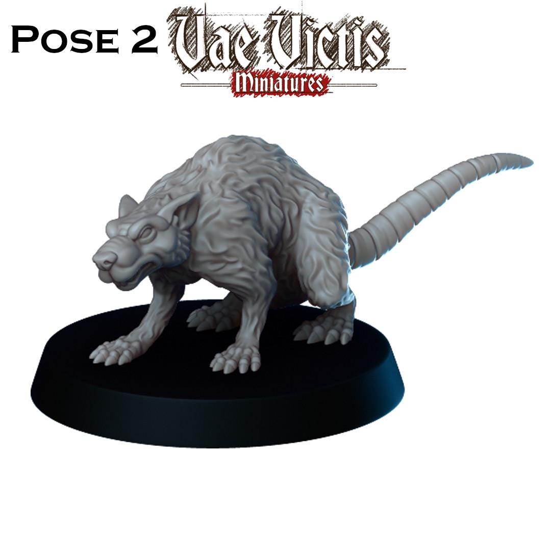 Giant Rat Miniatures - by Vae Victis Miniatures