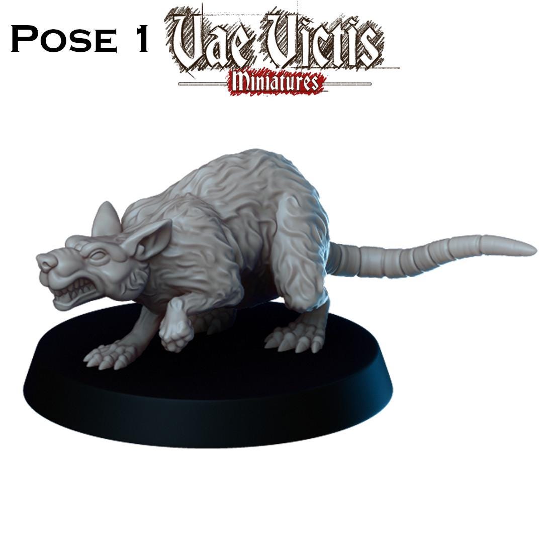 Giant Rat Miniatures - by Vae Victis Miniatures