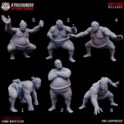 Japanese Sumo Wrestler Miniatures - by Kyoushuneko Miniatures