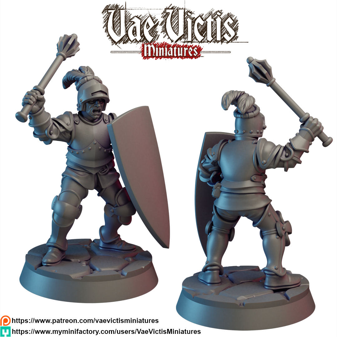 Armored Knights Miniatures - by Vae Victis Miniatures